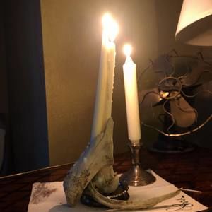 Meet your Posher, Geoff